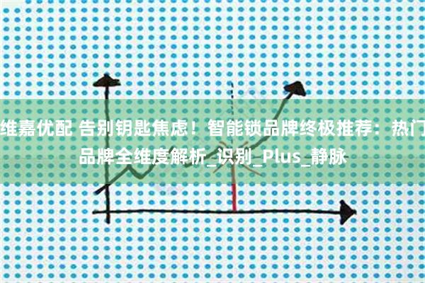 维嘉优配 告别钥匙焦虑！智能锁品牌终极推荐：热门品牌全维度解析_识别_Plus_静脉